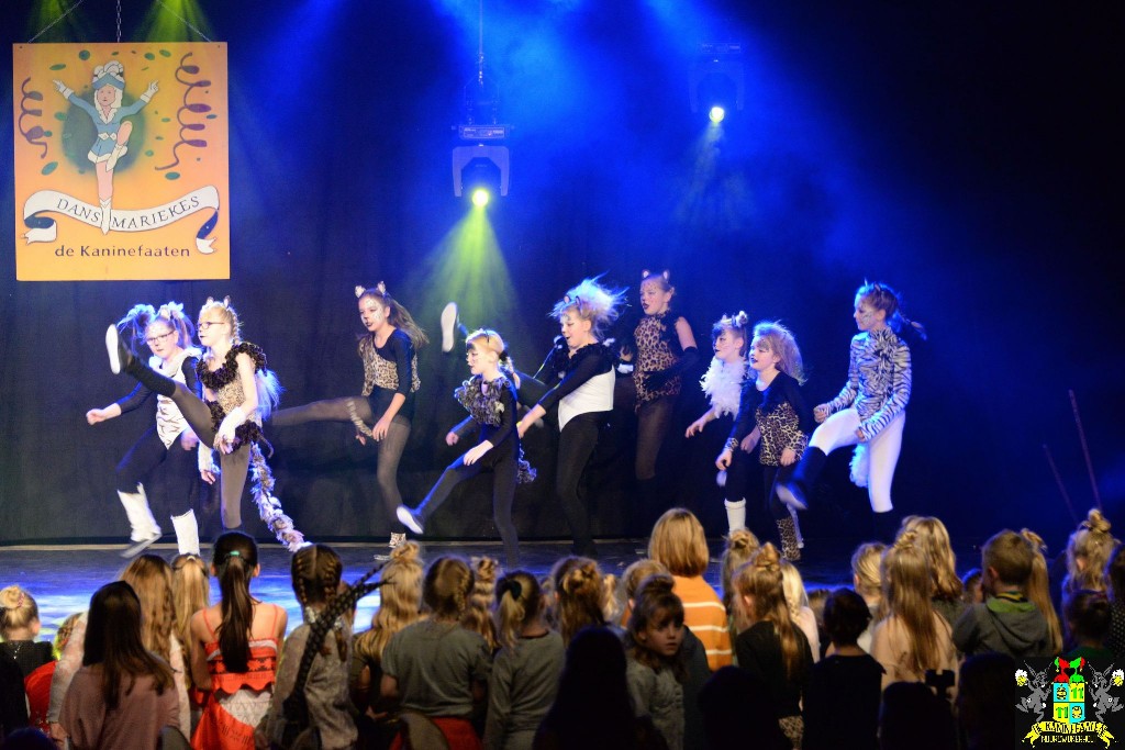 ../Images/Dansmariekefestival 2020 340.jpg